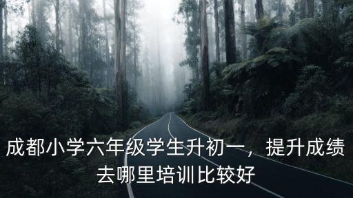 成都小學(xué)六年級(jí)學(xué)生升初一，提升成績(jī)?nèi)ツ睦锱嘤?xùn)比較好