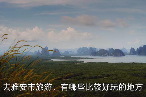 去雅安市旅游，有哪些比較好玩的地方