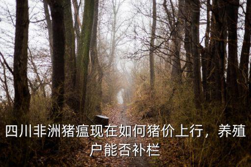 四川非洲豬瘟現在如何豬價上行，養殖戶能否補欄
