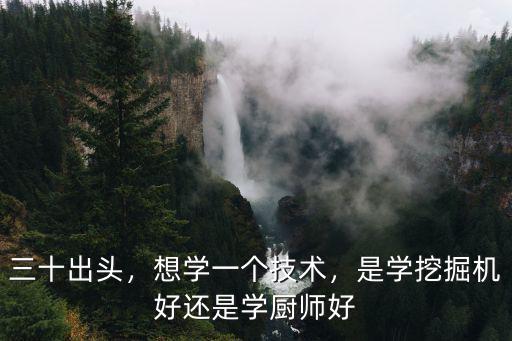 三十出頭，想學一個技術，是學挖掘機好還是學廚師好