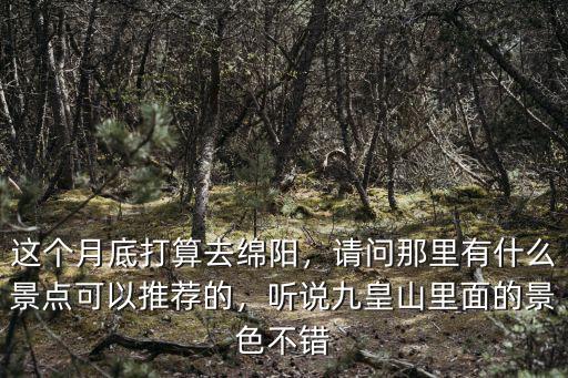 這個(gè)月底打算去綿陽(yáng)，請(qǐng)問(wèn)那里有什么景點(diǎn)可以推薦的，聽(tīng)說(shuō)九皇山里面的景色不錯(cuò)