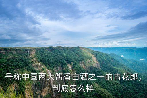 號稱中國兩大醬香白酒之一的青花郎，到底怎么樣