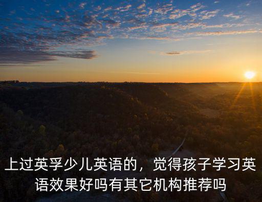 上過英孚少兒英語的，覺得孩子學習英語效果好嗎有其它機構推薦嗎