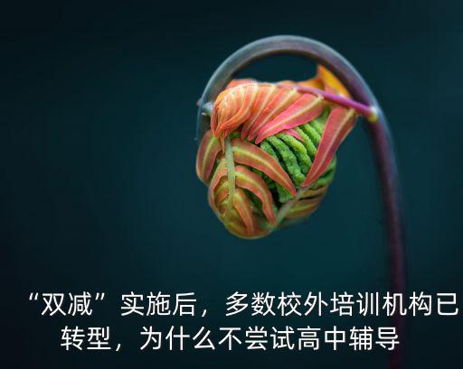 “雙減”實(shí)施后，多數(shù)校外培訓(xùn)機(jī)構(gòu)已轉(zhuǎn)型，為什么不嘗試高中輔導(dǎo)