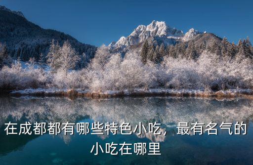 成都名小吃店在哪里,最有名氣的小吃在哪里