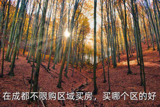 成都房不限購哪里買最好,在成都不限購區域買房