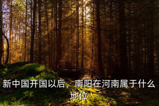 中國達(dá)芬奇在南陽的地位怎么樣,南陽在河南屬于什么地位