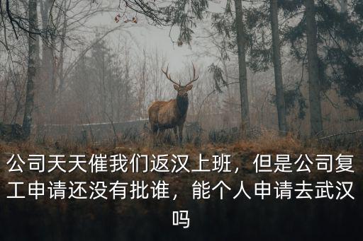 w武漢人怎么申請去公司,武漢人怎么去外地工作