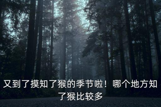 南充哪里有知了猴,全國哪里有知了猴