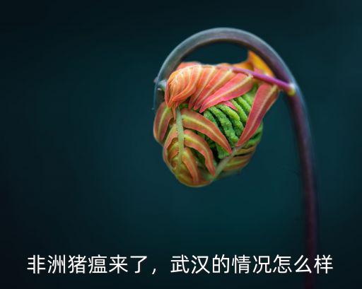 非洲豬瘟來了，武漢的情況怎么樣