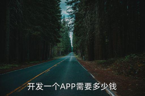 開發一個APP需要多少錢