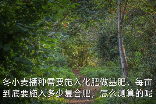 冬小麥播種需要施入化肥做基肥，每畝到底要施入多少復合肥，怎么測算的呢