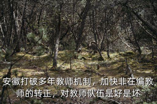 安徽打破多年教師機制，加快非在編教師的轉正，對教師隊伍是好是壞