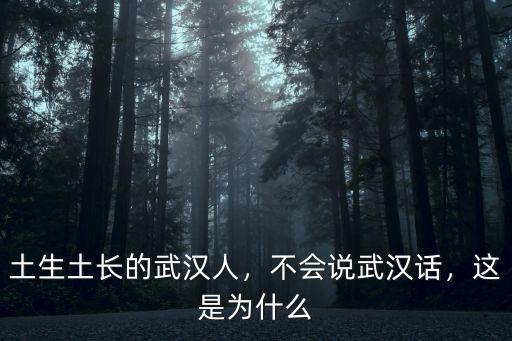 武漢話怎么說好想你,不會說武漢話