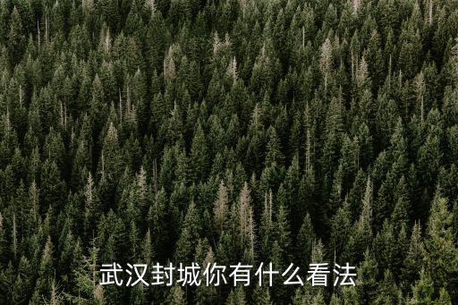 你對(duì)武漢封城怎么看,武漢封城你有什么看法