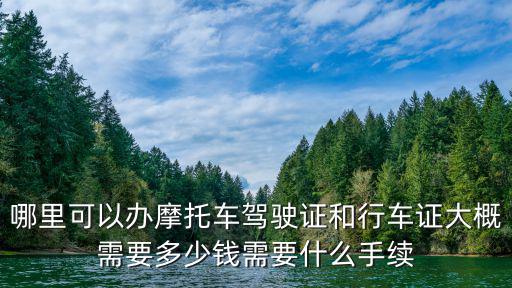 哪里可以辦摩托車駕駛證和行車證大概需要多少錢需要什么手續