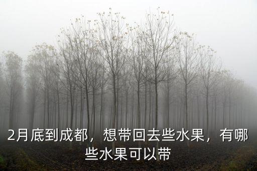 2月底到成都，想帶回去些水果，有哪些水果可以帶