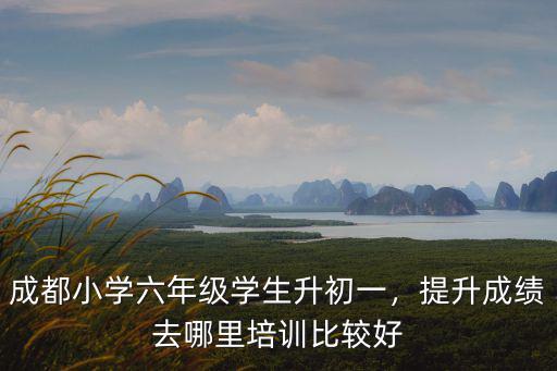 成都小學生奧數培訓哪里好,提升成績去哪里培訓比較好