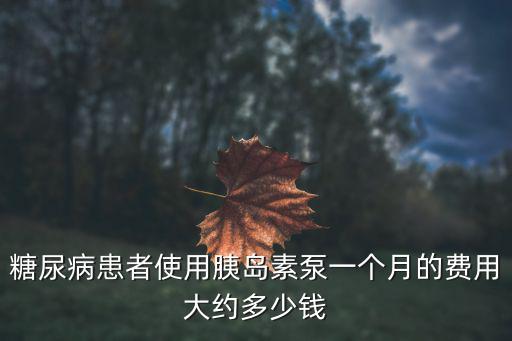 糖尿病患者使用胰島素泵一個(gè)月的費(fèi)用大約多少錢(qián)