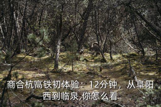 高鐵阜陽西站到臨泉票價多少,從阜陽西到臨泉