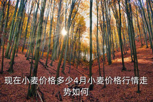 安徽小麥收購價格是多少,安徽小麥托市收購價格下調