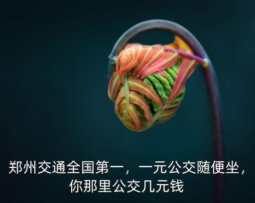 鄭州市公交培訓怎么樣,一元公交隨便坐