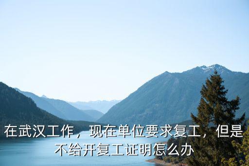 武漢東西湖復(fù)工申請?jiān)趺崔k,能個(gè)人申請去武漢嗎
