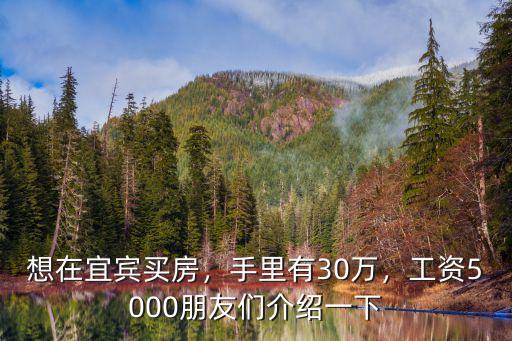 想在宜賓買房，手里有30萬，工資5000朋友們介紹一下