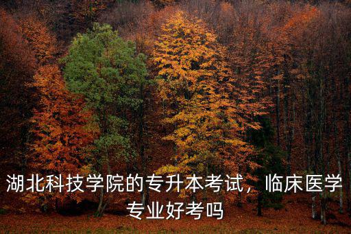 湖北科技學院的專升本考試，臨床醫學專業好考嗎