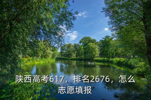 湖北理科617怎么報志愿,怎么志愿填報