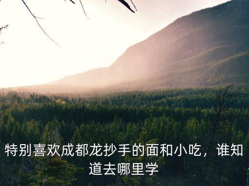 成都哪里有龍抄手培訓,四川成都的龍抄手怎么做