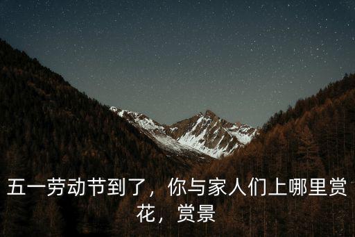 五一勞動節(jié)到了，你與家人們上哪里賞花，賞景