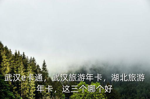 武漢e卡通，武漢旅游年卡，湖北旅游年卡，這三個哪個好