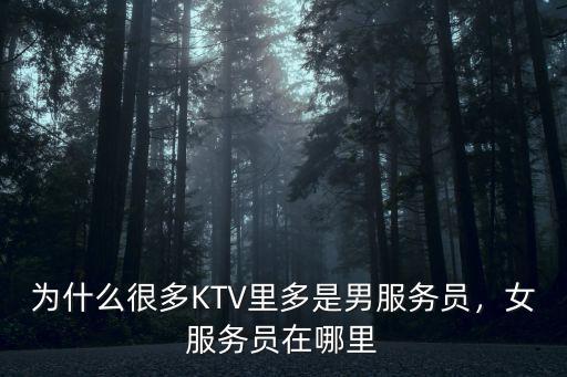 攀枝花哪里有男服務員,KTV男服務員有危險嗎