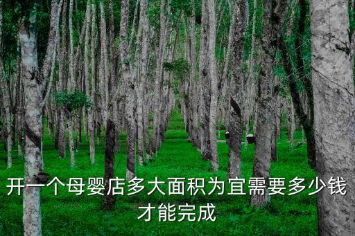 河南開家母嬰店大概多少錢,需要多少錢才能完成