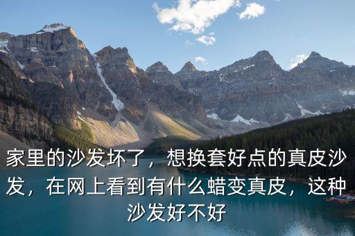 家里的沙發壞了，想換套好點的真皮沙發，在網上看到有什么蠟變真皮，這種沙發好不好