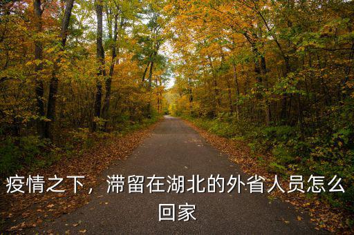 疫情之下，滯留在湖北的外省人員怎么回家
