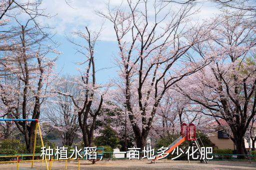 復(fù)合肥水稻用多少,一畝地多少化肥