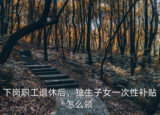 退休人員武漢獨(dú)生子女補(bǔ)貼怎么領(lǐng),獨(dú)生子女一次性補(bǔ)貼怎么領(lǐng)