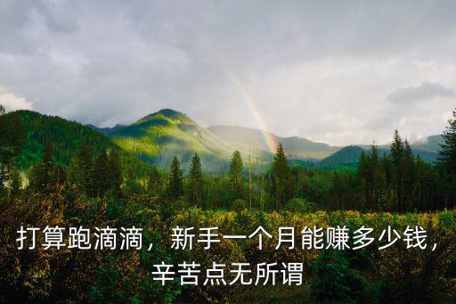 打算跑滴滴，新手一個月能賺多少錢，辛苦點無所謂