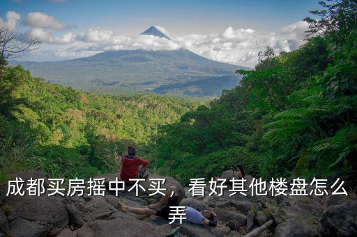 成都買房搖中不買，看好其他樓盤怎么弄