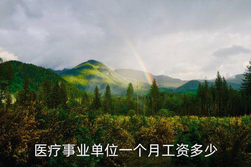 醫療事業單位一個月工資多少
