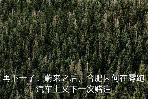 蔚來汽車在合肥貸款多少,合肥為什么會引入蔚來汽車