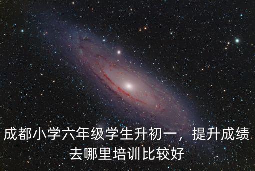 成都小學六年級學生升初一，提升成績去哪里培訓比較好