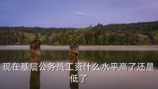 現(xiàn)在基層公務(wù)員工資什么水平高了還是低了