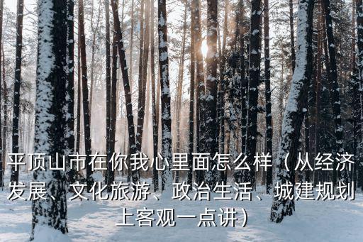 平頂山市的經濟怎么樣,現在的經濟支柱是什么