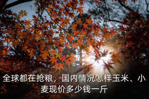 淮南王米多少錢一斤,小麥現價多少錢一斤