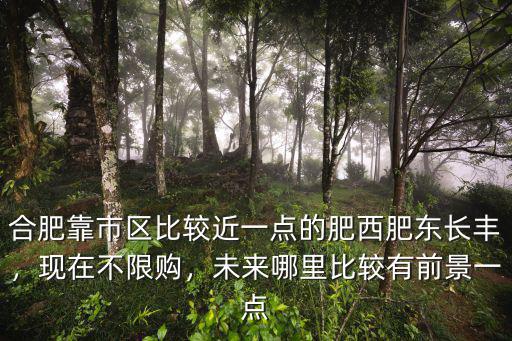 合肥靠市區(qū)比較近一點(diǎn)的肥西肥東長(zhǎng)豐，現(xiàn)在不限購(gòu)，未來(lái)哪里比較有前景一點(diǎn)