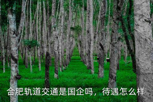合肥軌道交通是國企嗎，待遇怎么樣
