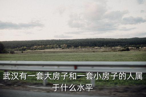 武漢有一套大房子和一套小房子的人屬于什么水平